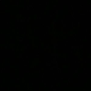 Meet your Posher, Stella